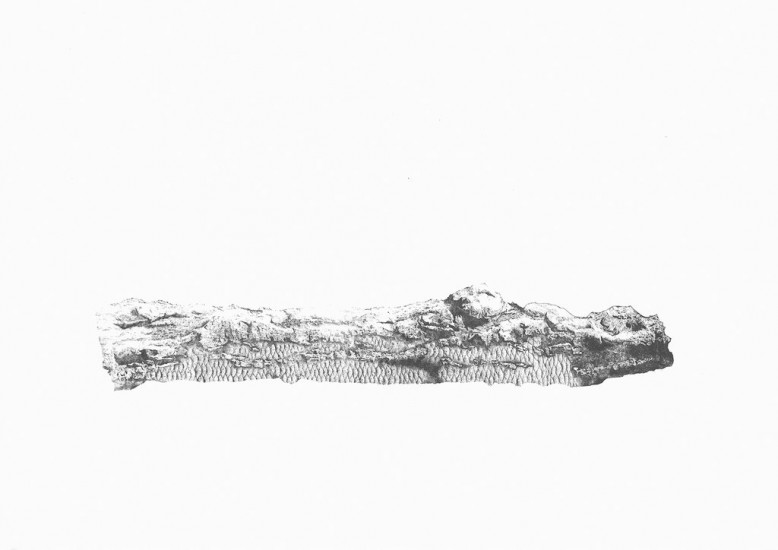 MUYU.1 | etching | 60×80 cm| 2015